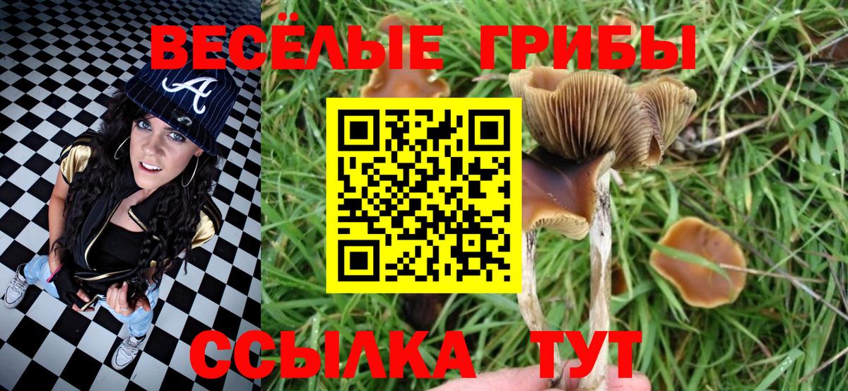 Галлюциногенные грибы Cubensis  Вход с VPN  как найти закладки  Самара 