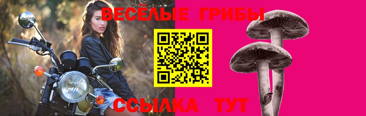 Галлюциногенные грибы Psilocybe Самара